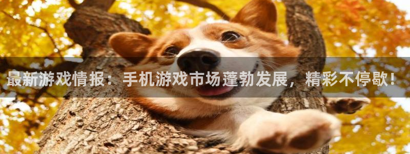 杜邦娱乐平台官网注册