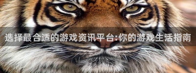 杜邦娱乐官网