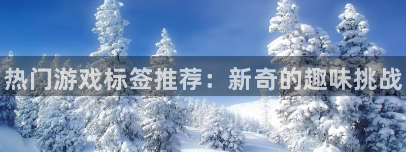 杜邦娱乐主管