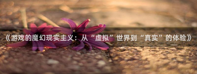 杜邦娱乐官方平台：《游戏的魔幻现实主义：从“虚拟”世界到“真
