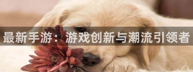 杜邦娱乐登录：最新手游：游戏创新与潮流引领者