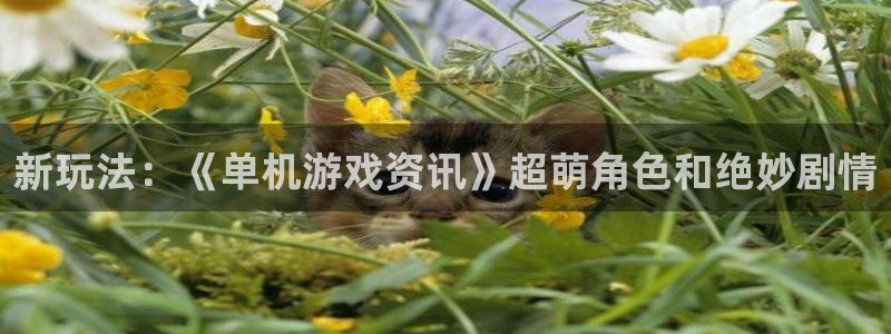 杜邦娱乐下载：新玩法：《单机游戏资讯》超萌角色和绝妙剧情