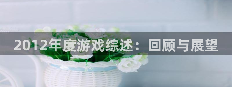 杜邦娱乐登陆：2012年度游戏综述：回顾与展望