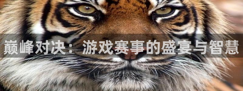 杜邦娱乐官方登录网址：巅峰对决：游戏赛事的盛宴与智慧