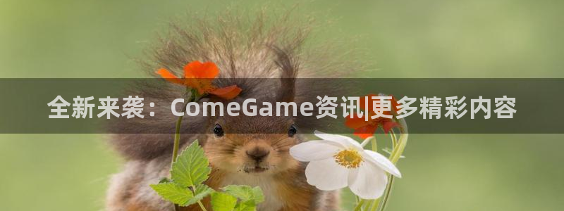 杜邦娱乐官网APP