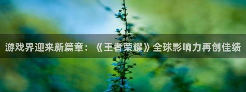 杜邦娱乐嘉675最新版本更新内容是什么