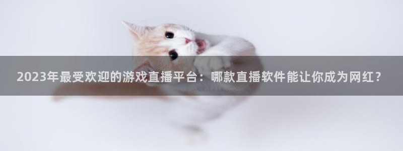 杜邦娱乐app官网入口在哪