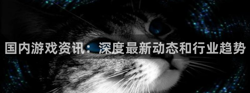 杜邦娱乐嘉675.138的更新方法与理念