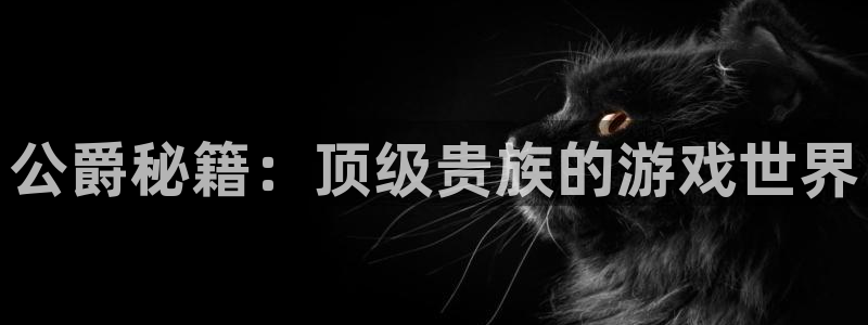 杜邦娱乐675官网入口