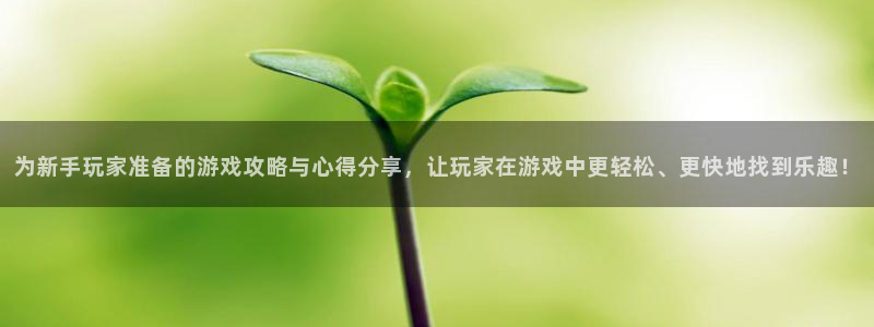 杜邦娱乐嘉675.138的更新方法与理念