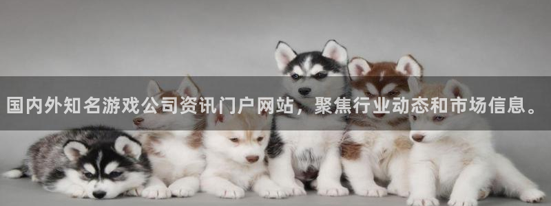 杜邦娱乐官网最新版本更新内容分享