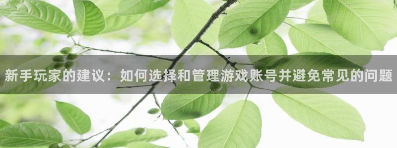 杜邦娱乐app官网入口下载：新手玩家的建议：如何选择和管理游