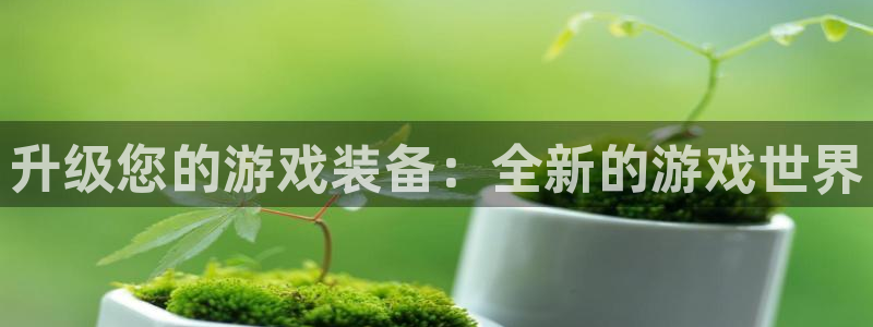 杜邦娱乐：升级您的游戏装备：全新的游戏世界