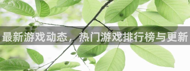 杜邦娱乐注册开户：最新游戏动态，热门游戏排行榜与更新