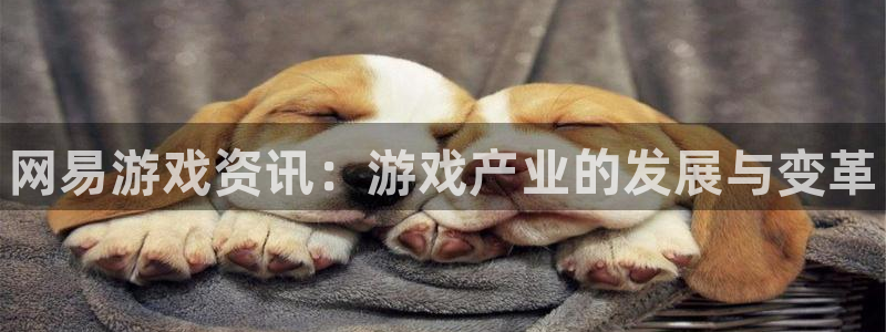 杜邦娱乐注册测速：网易游戏资讯：游戏产业的发展与变革
