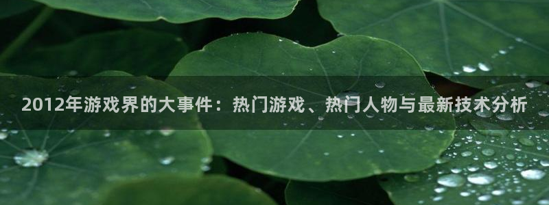 杜邦娱乐平台注册资金多少：2012年游戏界的大事件：热门游戏