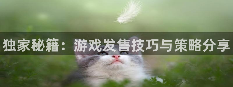 杜邦娱乐手机网页版登录：独家秘籍：游戏发售技巧与策略分享