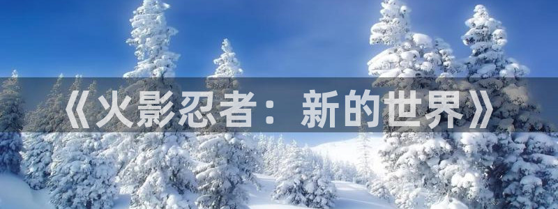 杜邦娱乐平台官网入口：《火影忍者：新的世界》