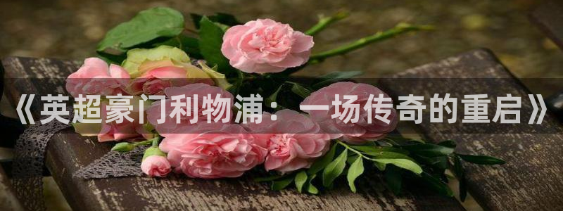 蓝鲸体育在线观看：《英超豪门利物浦：一场传奇的重启》