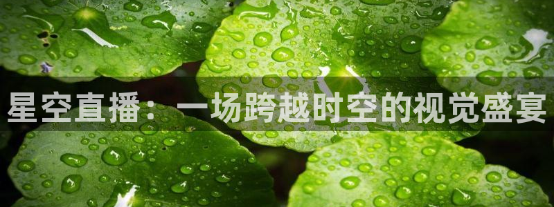 蓝鲸体育tv版下载：星空直播：一场跨越时空的视觉盛宴