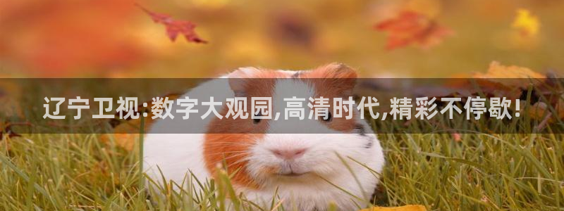 蓝鲸体育ufc直播：辽宁卫视:数字大观园,高清时代,精彩不停歇!