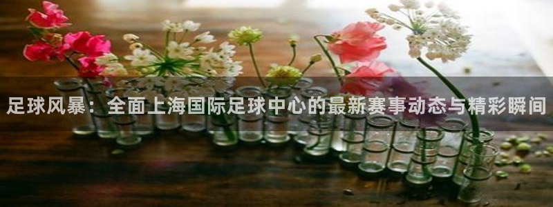 蓝鲸体育免费直播入口：足球风暴：全面上海国际足球中心的最新赛事动态与精彩瞬间
