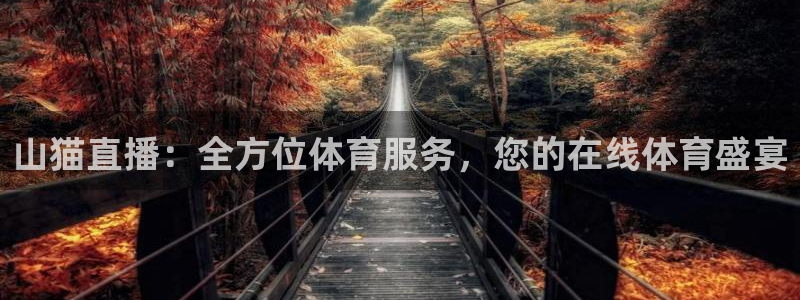 最新蓝鲸直播app：山猫直播：全方位体育服务，您的在线体育盛宴