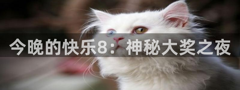 蓝鲸直播平台：今晚的快乐8：神秘大奖之夜