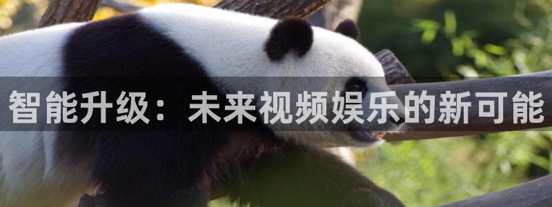 蓝鲸直播足球直播：智能升级：未来视频娱乐的新可能