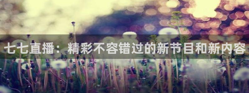 蓝鲸lanjing同直播：七七直播：精彩不容错过的新节目和新内容