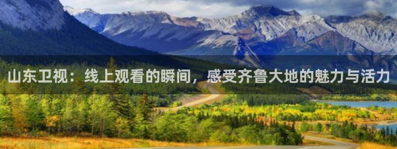 蓝鲸体育高清直播官网入口：山东卫视：线上观看的瞬间，感受齐鲁大地的魅力与活力