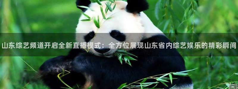 蓝鲸体育足球直播下载：山东综艺频道开启全新直播模式：全方位展现山东省内综艺娱乐的精彩瞬间