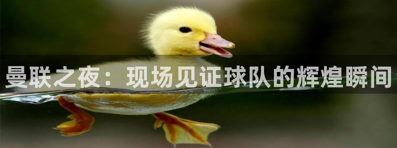 蓝鲸体育免费观看：曼联之夜：现场见证球队的辉煌瞬间