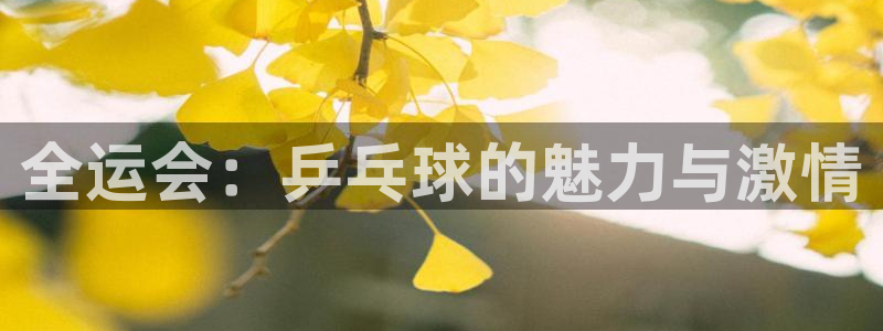 蓝鲸体育直播：全运会：乒乓球的魅力与激情