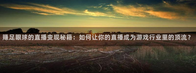 蓝鲸体育ufc直播：赚足眼球的直播变现秘籍：如何让你的直播成为游戏行业里的顶流？
