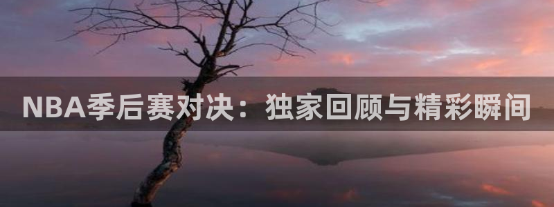 蓝鲸体育免费直播：NBA季后赛对决：独家回顾与精彩瞬间